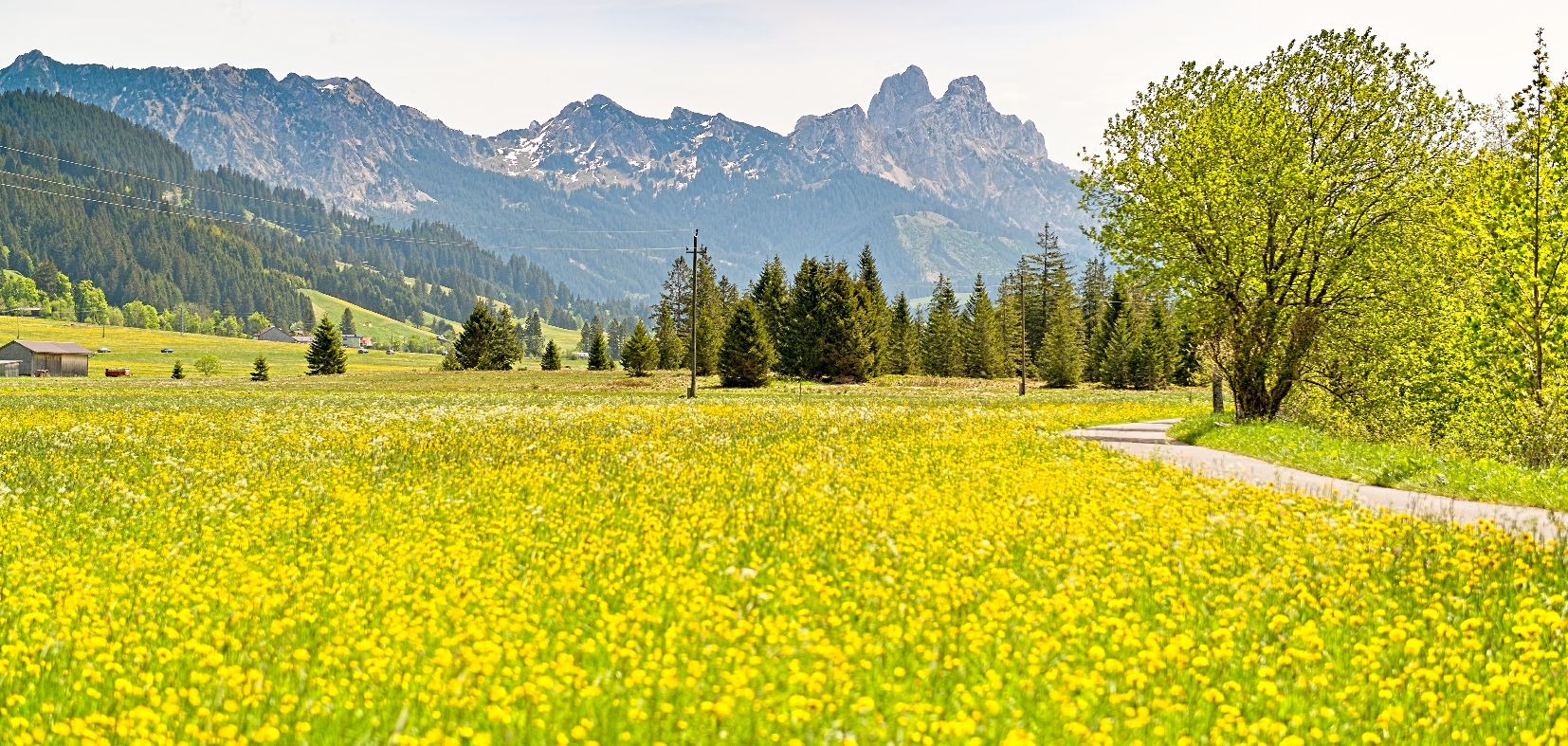 Sommerurlaub in Tannheim: Wandern, Biken, Bergseen und Genuss. Eure Pension mit Halbpension im Tannheimer Tal.